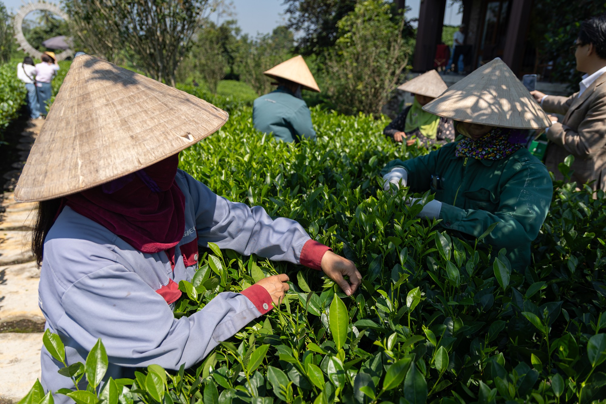 tour tàu hỏa Hà Nội - Thái Nguyên - Hồ Ba Bể 2N1Đ 4